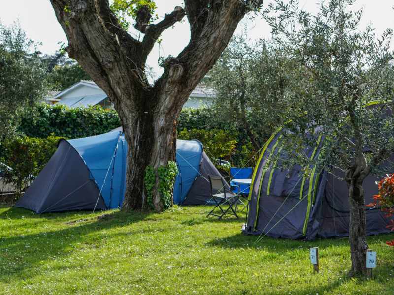Campeggio Lago di Garda con piazzole per tenda 