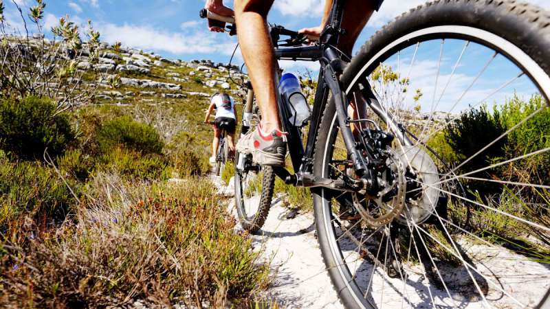 Campeggio Lago di Garda noleggio biciclette e tour 