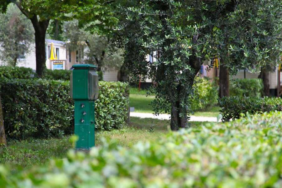 Campeggio Lago di Garda con piazzole standard e 6 amper di elettricità  8