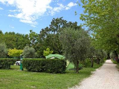 Camping Lake Garda with extra-large pitches and 10 amperes of electricity 5