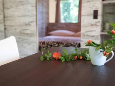 Camping Glamping Gardameer met tent met airconditioning en privé badkamer 4