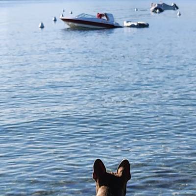 Waiting for the boat