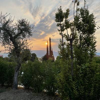 Guten Morgen Gardasee