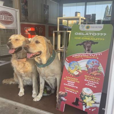 Did you say ice cream?!