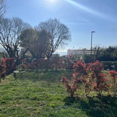 Aussicht vom Stellplatz 77