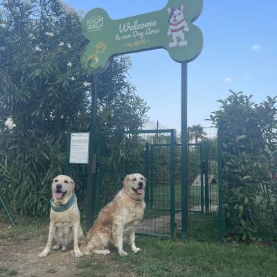  Checking out the dog park 