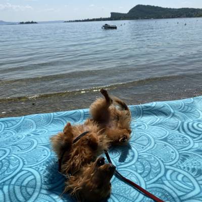 Romy fühlt sich auch sehr wohl 